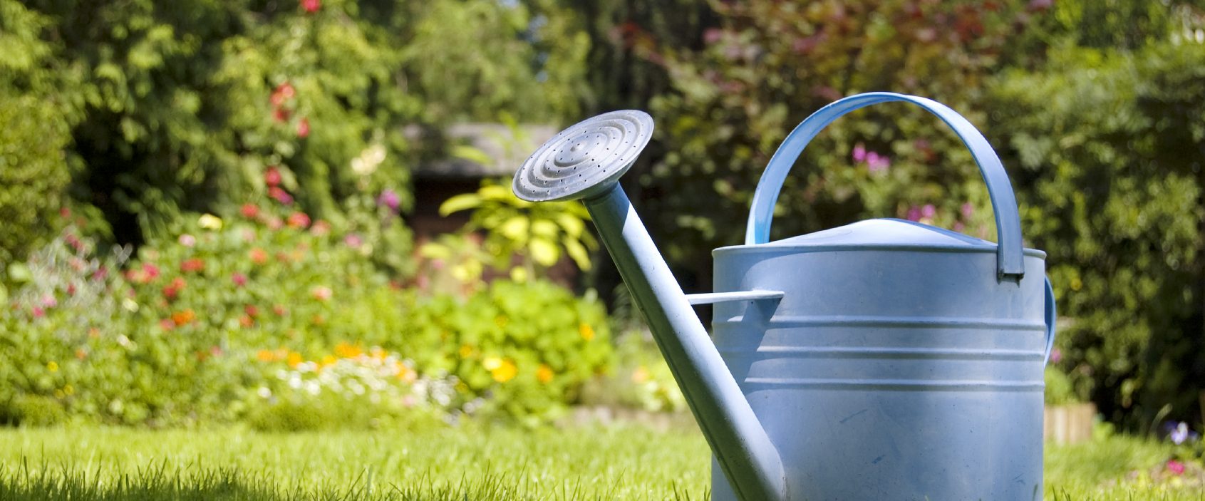 Gießkanne im Garten Gießkanne im Garten