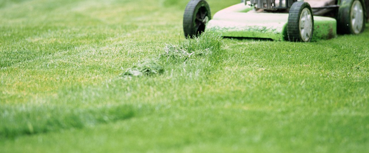 Gießkanne im Garten Gießkanne im Garten